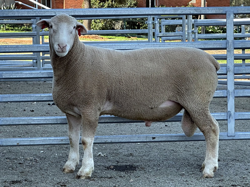 Lot 1 2023 Sale A220058